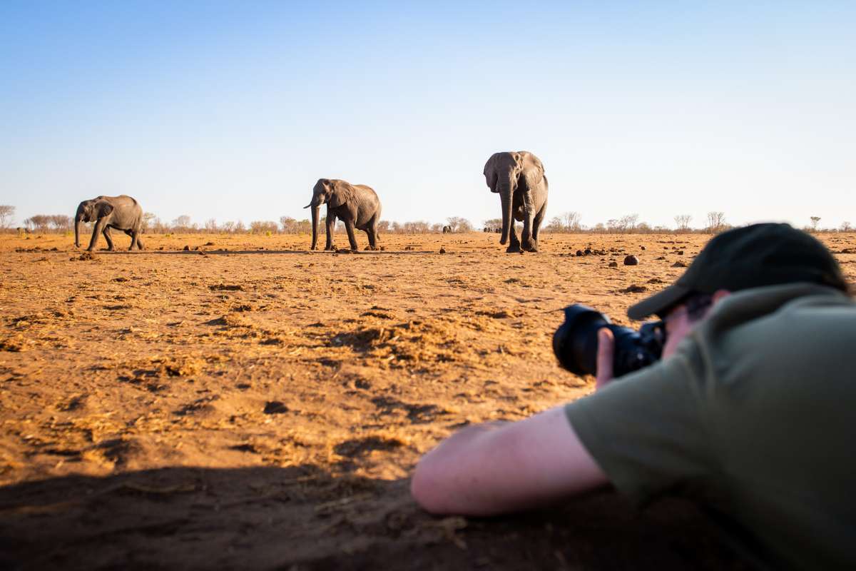 Hwange National Park, Escape Safari Co