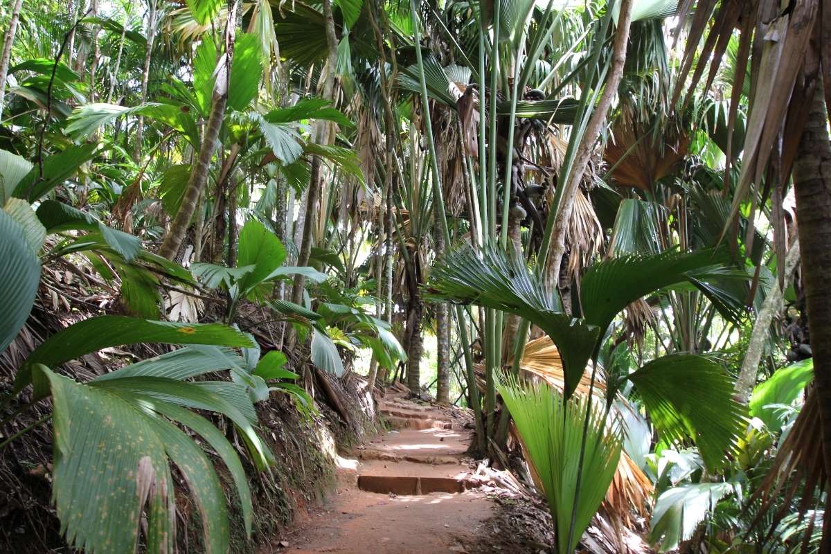 Praslin, Seychelles, Escape Safari Co