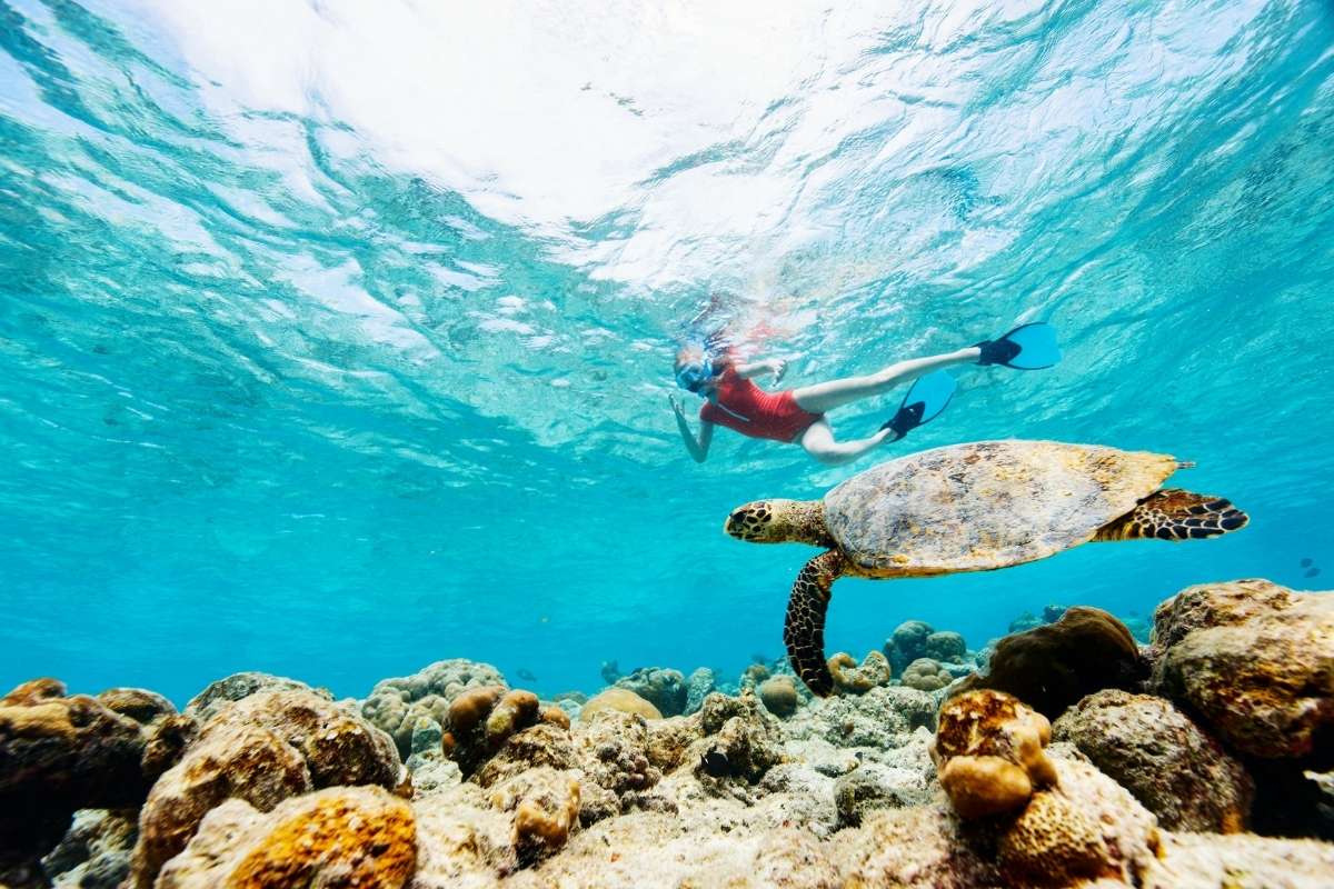 Praslin, Seychelles, Escape Safari Co