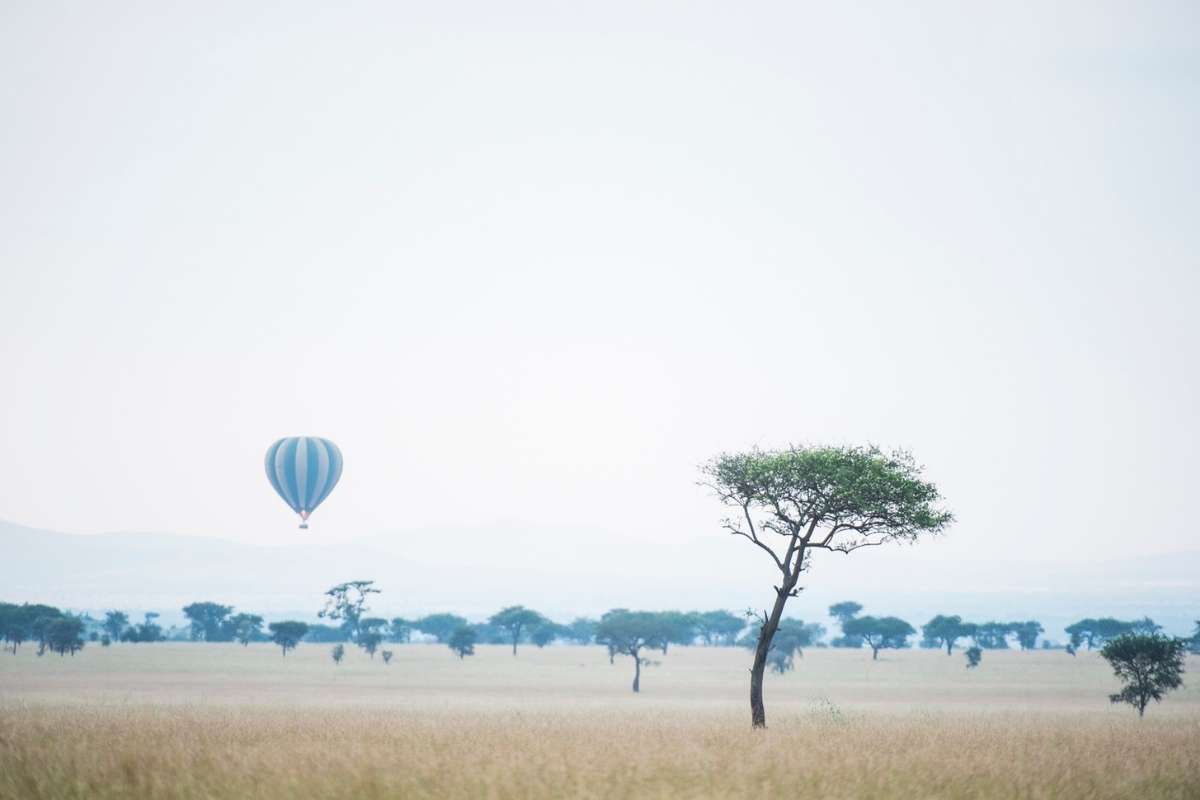 Serengeti National Park, Tanzania, Escape Safari Co