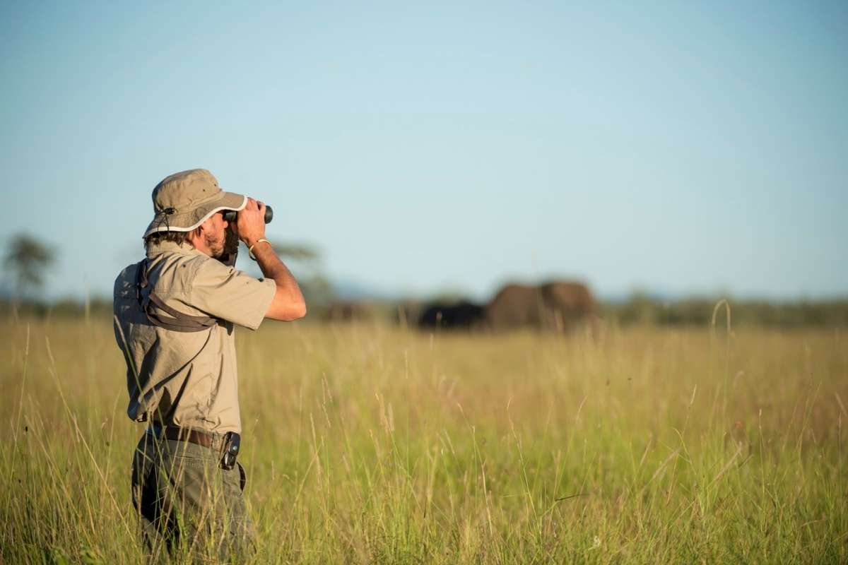 Serengeti National Park, Tanzania, Escape Safari Co