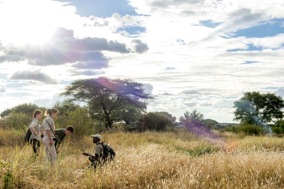 Tarangire National Park, Tanzania, Escape Safari Co