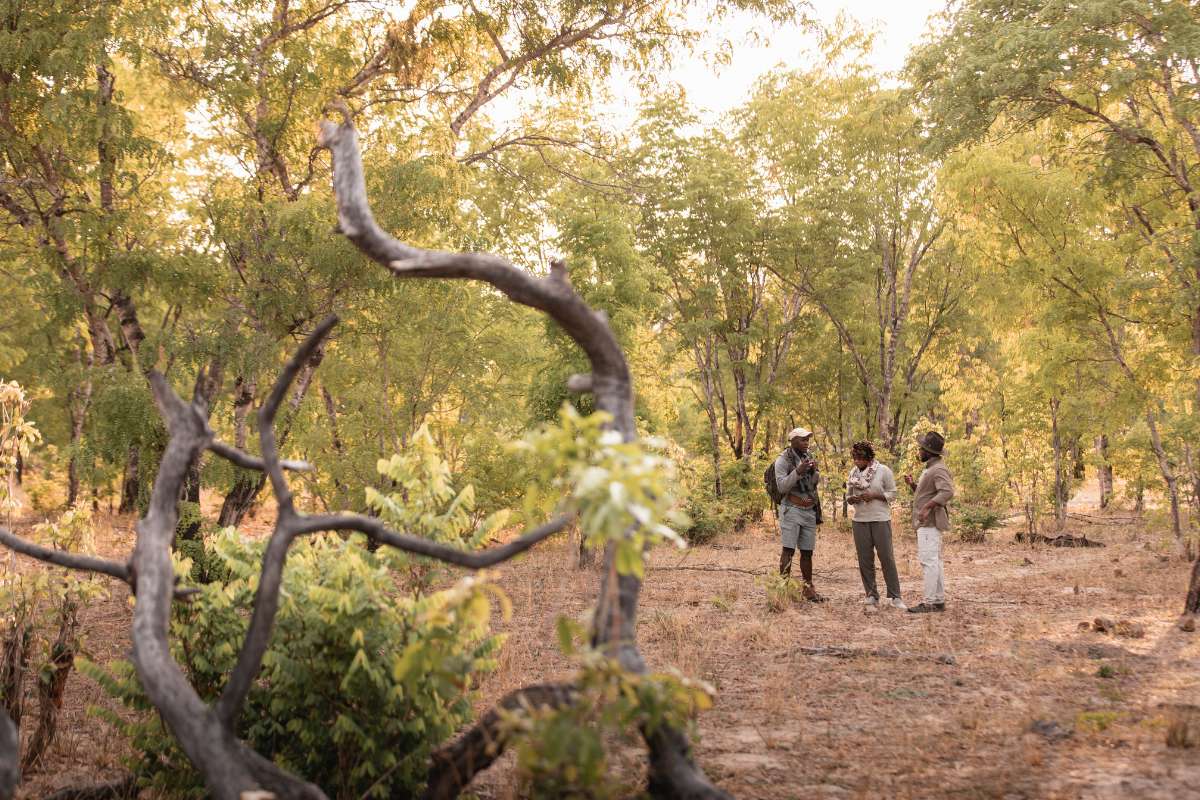 Wilderness, Little Makalolo, Hwange National Park, Escape Safari Co