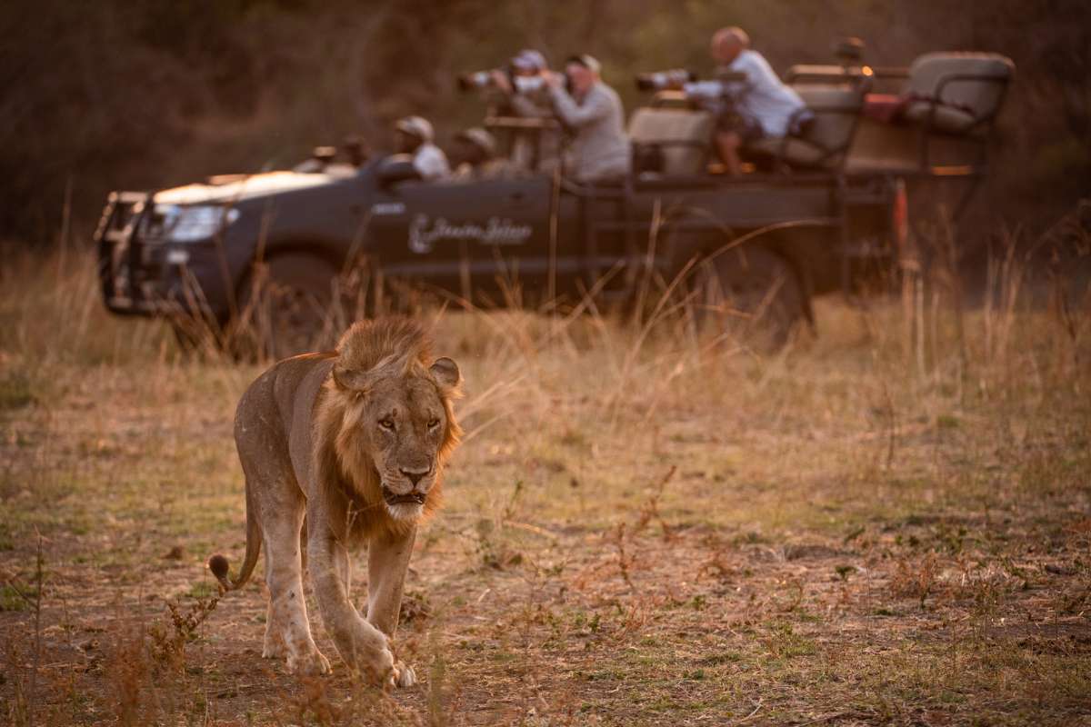 Zambia, Escape Safari Co