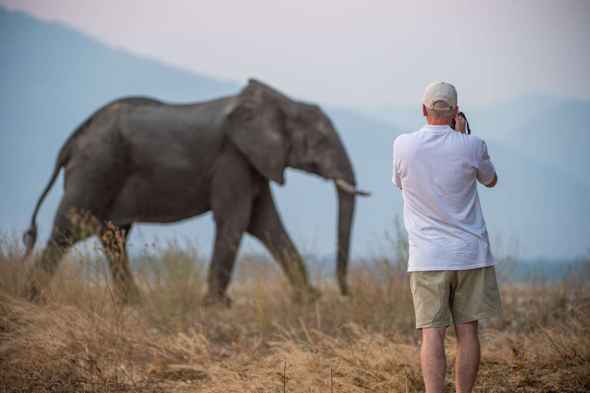 Zimbabwe, Escape Safari Co